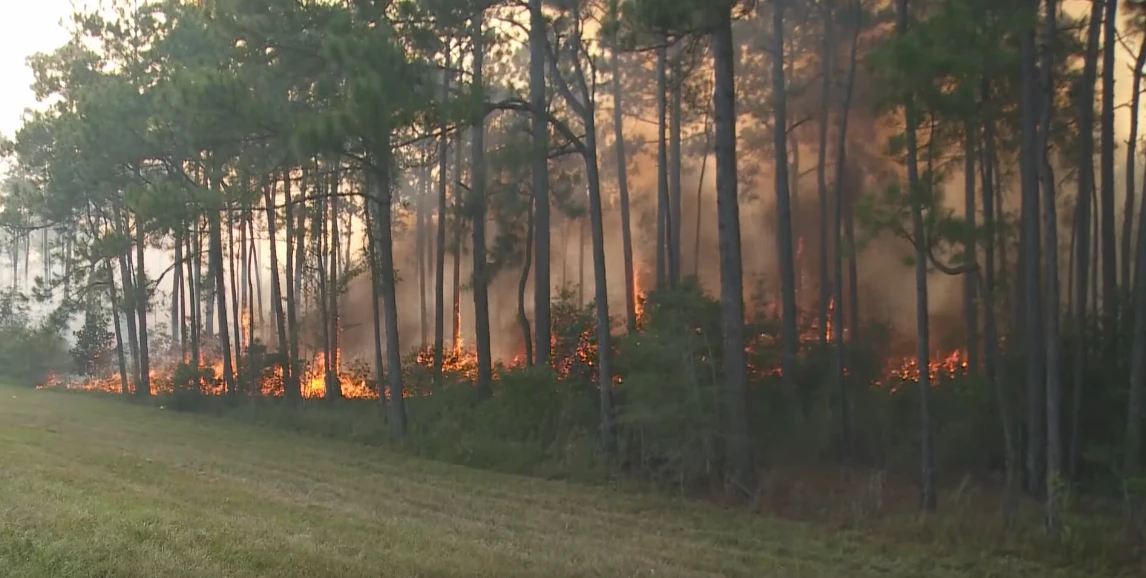 Louisiana Wildfire