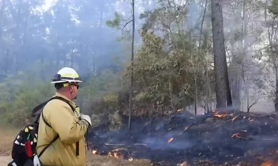 Louisiana Wildfire